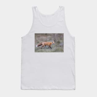 Red fox in Autumn Meadow Tank Top